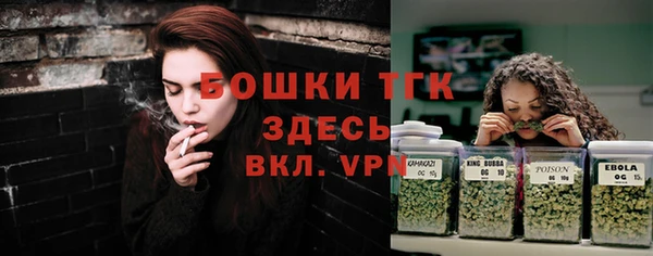 амф Горнозаводск