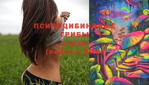 марки lsd Горно-Алтайск