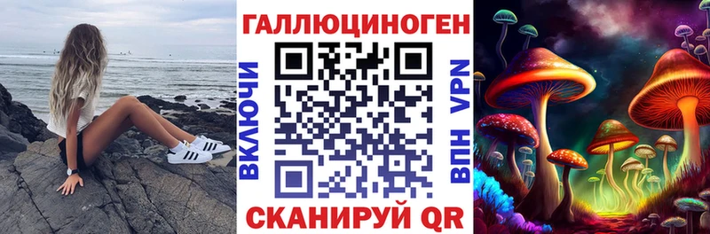 Псилоцибиновые грибы мицелий  omg как зайти  Иваново  даркнет состав  даркнет сайт 